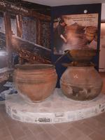 Weingut mit Verkostung (6)