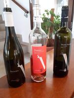 Weingut mit Verkostung (7)