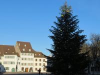 Basel - Münsterplatz