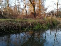 Winterliche Kahnfahrt mit Glühwein