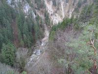 2. Neuschwanstein - Blick in  Pöllatschlucht