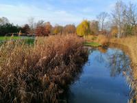 Winterliche Kahnfahrt mit Glühwein