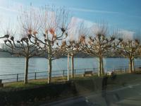 der Rhein in Wiesbaden am Schlossgarten