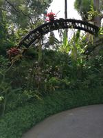 Orchideengarten in Singapur