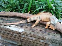 Ausflug Sentosa Island Singapur