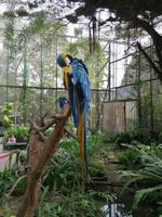 Ausflug Sentosa Island Singapur