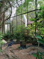 Ausflug Sentosa Island Singapur