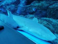 Ausflug Sentosa Island Singapur