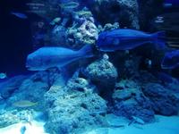 Ausflug Sentosa Island Singapur