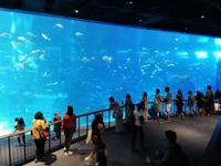 Ausflug Sentosa Island Singapur