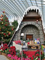 Gardens by the bay Singapur