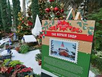 Gardens by the bay Singapur