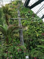 Gardens by the bay Singapur