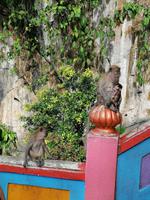 Batu Höhlen Kuala Lumpur Malaysia