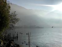 Genfer See Stimmung - neblig, aber gut für's Jahresende