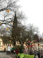 Besuch in Strasbourg