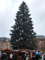 DAS  ist der richtige Strassburger Weihnachtsbaum!