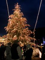 Mit Beginn der Dunkelheit beherrschen die Lichter den Triberger Weihnachtszauber!