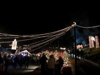 Mit Beginn der Dunkelheit beherrschen die Lichter den Triberger Weihnachtszauber!