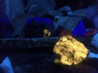 Tag 2 - leuchtende Steine in der Schillat-Höhle