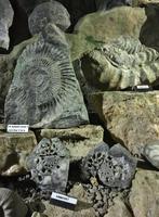 Tag 2 - Schillat-Höhle