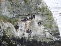 Stanley Falklandinseln