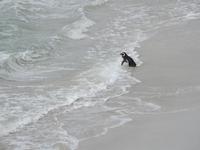 Stanley Falklandinseln