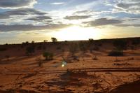 Sundowner in der Kalahari (3)