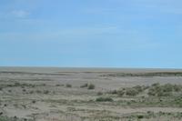 Tiere im Etosha Nationalpark (61)