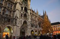 Neues Rathaus mit Weihnachtsbaum