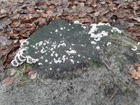 20191223_112806