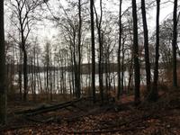 Liepnitz See