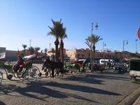 IMG_20191230_102353