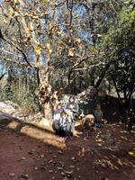 IMG_20191231_110942