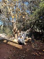 IMG_20191231_110945