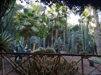 IMG_20200101_103559