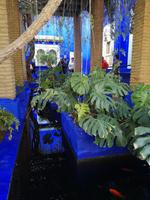IMG_20200101_105100