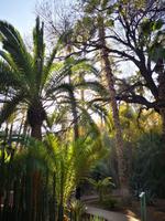 IMG_20200101_105334