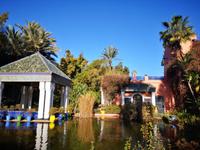 IMG_20200101_110433