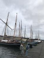 Sonderburg- Hafen