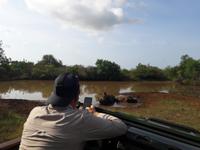 eSwatini - Mkhaya Wildreservat 