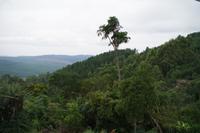 Südafrika - Misty Mountain