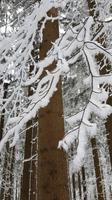 Tschechische Republik, Riesengebirge, Janske Lazne, Cerna Hora, Wanderung