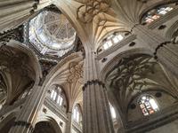 Zurück in Salamanca und Spaziergang durch die Altstadt (9)