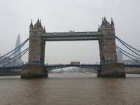 Bootsfahrt auf der Themse inklusive Mittagessen in London (13)