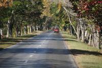 Allee zwischen Camagüey und Sancti Spiritus 