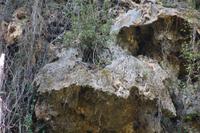 Wenn man genau schaut, sieht man in der Bildmitte 