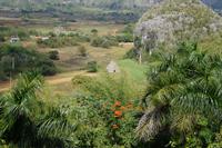 Valle de Viñales