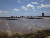 Trapani - Salinen
