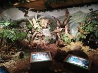 So lebte man früher (12)